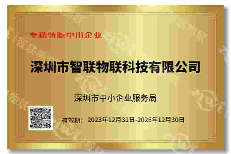 巅峰国际专精特新证书